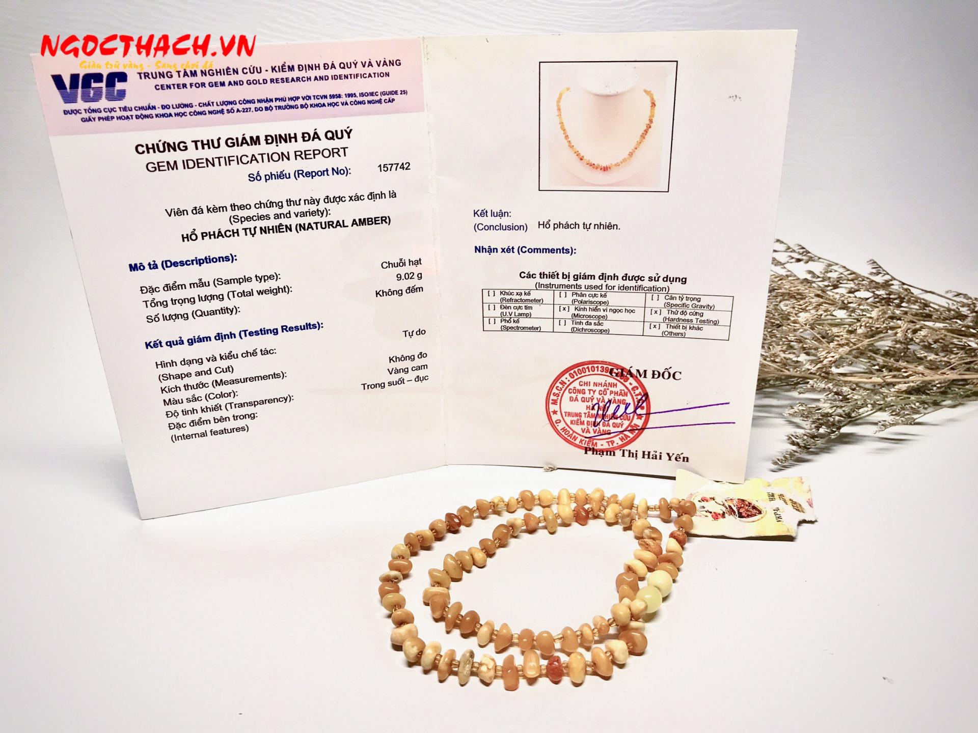 ngocthach.vn