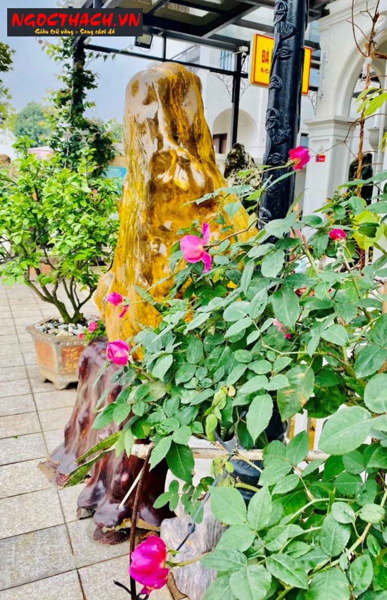 ngocthach.vn