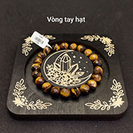 ngocthach.vn