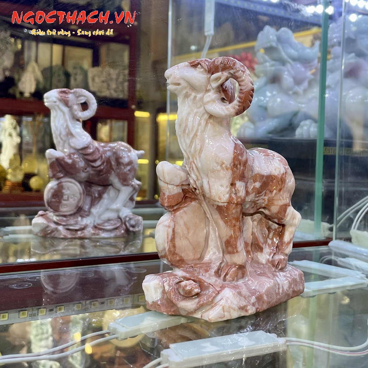 ngocthach.vn