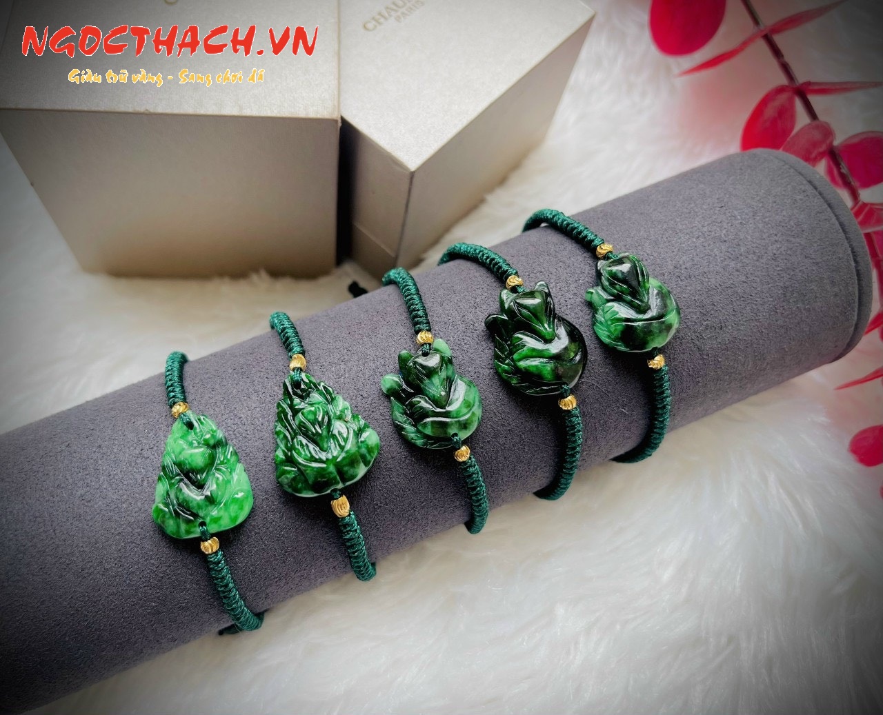 ngocthach.vn