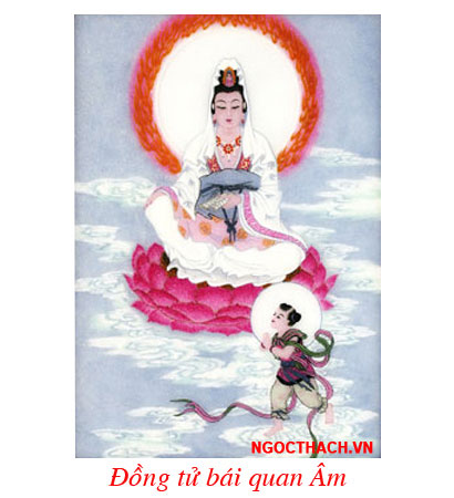 ngocthach.vn