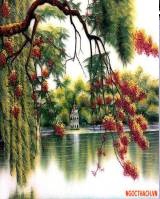 ngocthach.vn