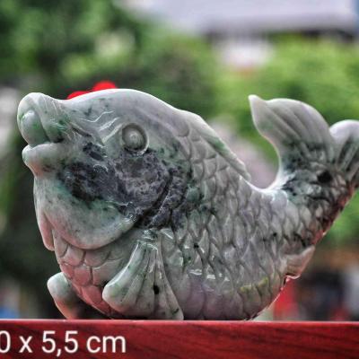 Cá Chép Ngọc Phỉ Thúy